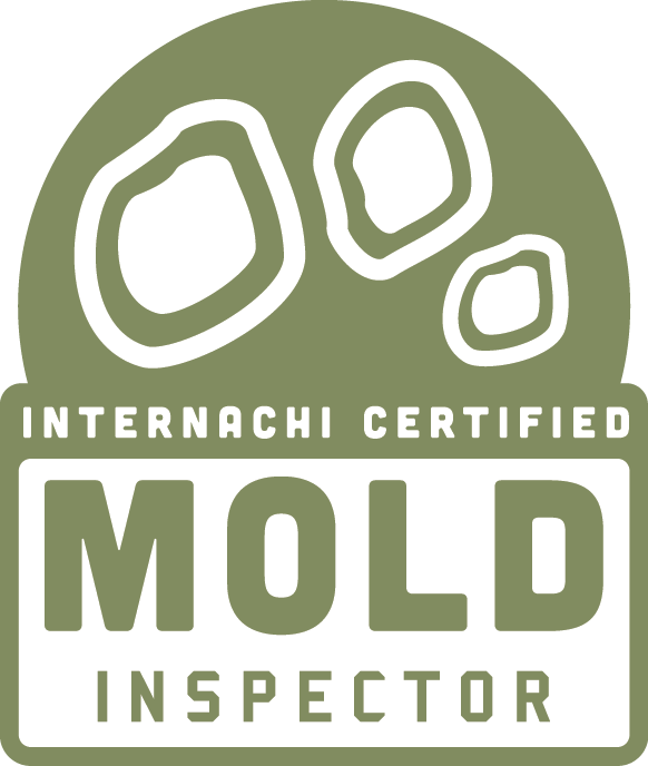 Mold Test