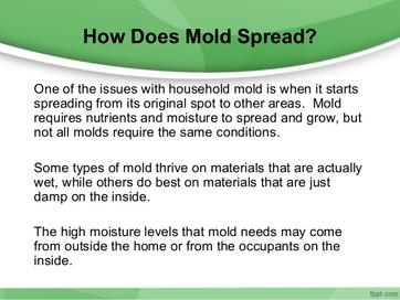 Mold